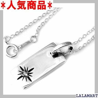 ☆ STERLING SILVER 925 インディアン TNE-040 61(その他)