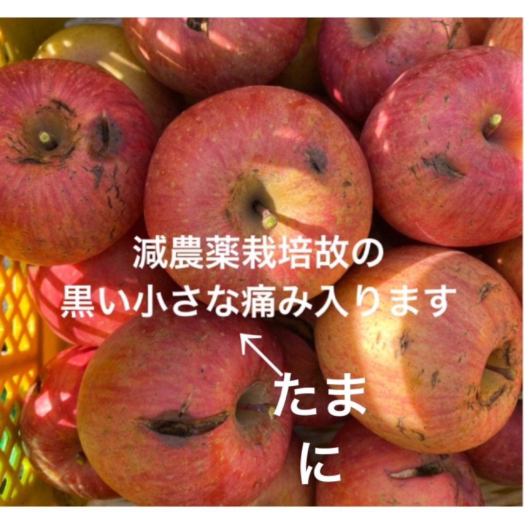 減農薬栽培山形県東根市産皮のザラ付きは美味しい証！なのに色浅い訳あり3.5k前後 食品/飲料/酒の食品(フルーツ)の商品写真