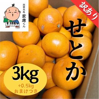 静岡県浜松産　せとか　3キロ　訳あり　みかん(フルーツ)