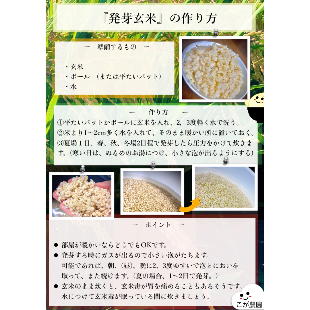 藤虎様専用　福岡県産「元気つくし」令和５年産　玄米20kg 食品/飲料/酒の食品(米/穀物)の商品写真