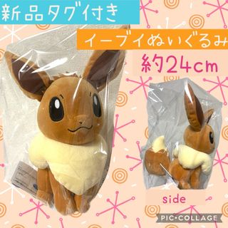 【イーブイ】ポケットモンスター もふぐっとぬいぐるみ！「イーブイフレンズ」(ぬいぐるみ)