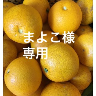 和歌山　はっさく【訳あり】ご家庭用(フルーツ)