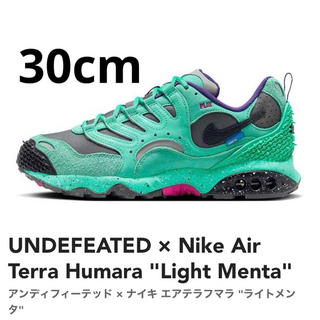 ナイキ(NIKE)のUNDEFEATED × Nike Air Terra Humara 30cm(スニーカー)