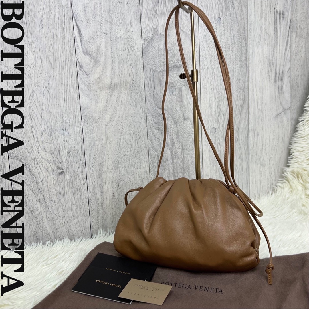 Bottega Veneta(ボッテガヴェネタ)の参考価格308000円♡現行品♡ボッテガヴェネタ カーフレザー ショルダーバッグ レディースのバッグ(ショルダーバッグ)の商品写真