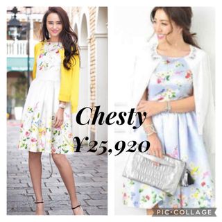 チェスティ(Chesty)の定価25920 Chesty 花柄　小鳥柄　ワンピース(ひざ丈ワンピース)