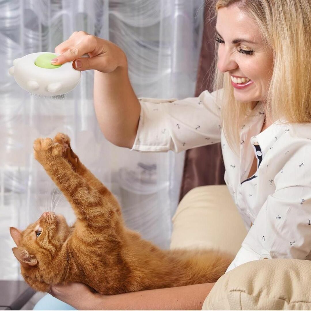 2本セット ペット用ブラシ 猫 ブラシ 犬用ブラシ その他のペット用品(猫)の商品写真