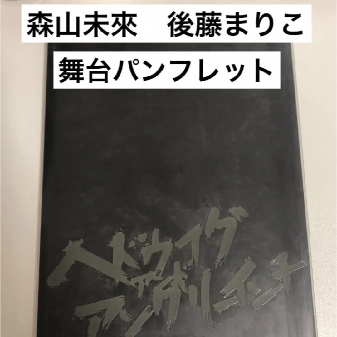 森山未來　後藤まりこ　舞台　ヘドウィグアンドアングリーインチ　パンフレット エンタメ/ホビーの本(アート/エンタメ)の商品写真