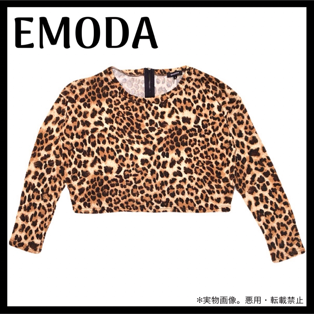 EMODA(エモダ)のEMODA レオパード ニット TOPS カーディガン 2way バックジップ  レディースのトップス(ニット/セーター)の商品写真