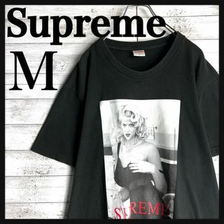 シュプリーム(Supreme)の8950【即完売モデル】シュプリーム×アンナニコルスミス☆フォトロゴtシャツ(その他)