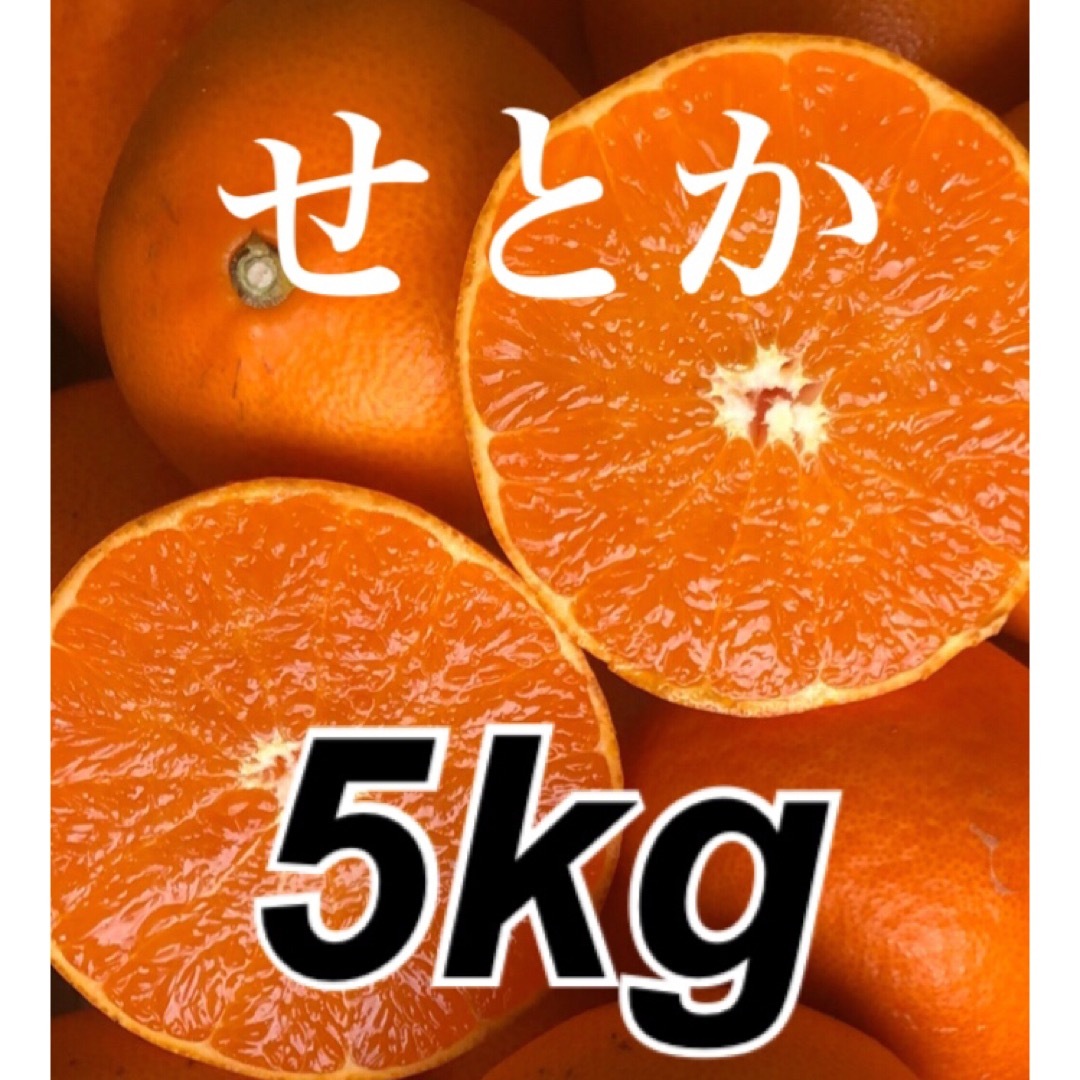 愛媛県産 みかん 高級柑橘 せとか 箱込5kg 発送 柑橘 ミカン 果物 食品/飲料/酒の食品(フルーツ)の商品写真