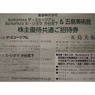 ２枚　Bunkamura ル・シネマ　五島美術館 株主優待共通ご招待券(その他)