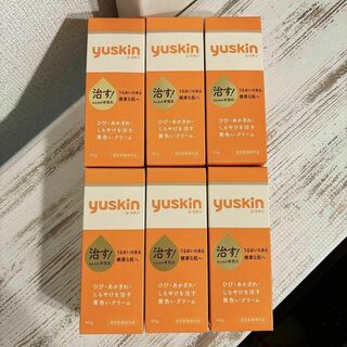 ユースキン(Yuskin)の6個セット　新品未開封　ユースキン 40g ハンドクリーム チューブ クリーム(ハンドクリーム)