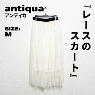 アンティカ レース スカート Mサイズ レディース ファッション antiqua(ひざ丈スカート)