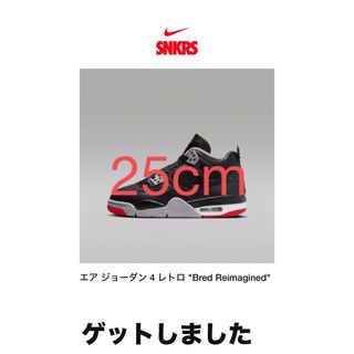 ナイキ(NIKE)のNike Air Jordan 4 Retro Bred Reimagined(スニーカー)