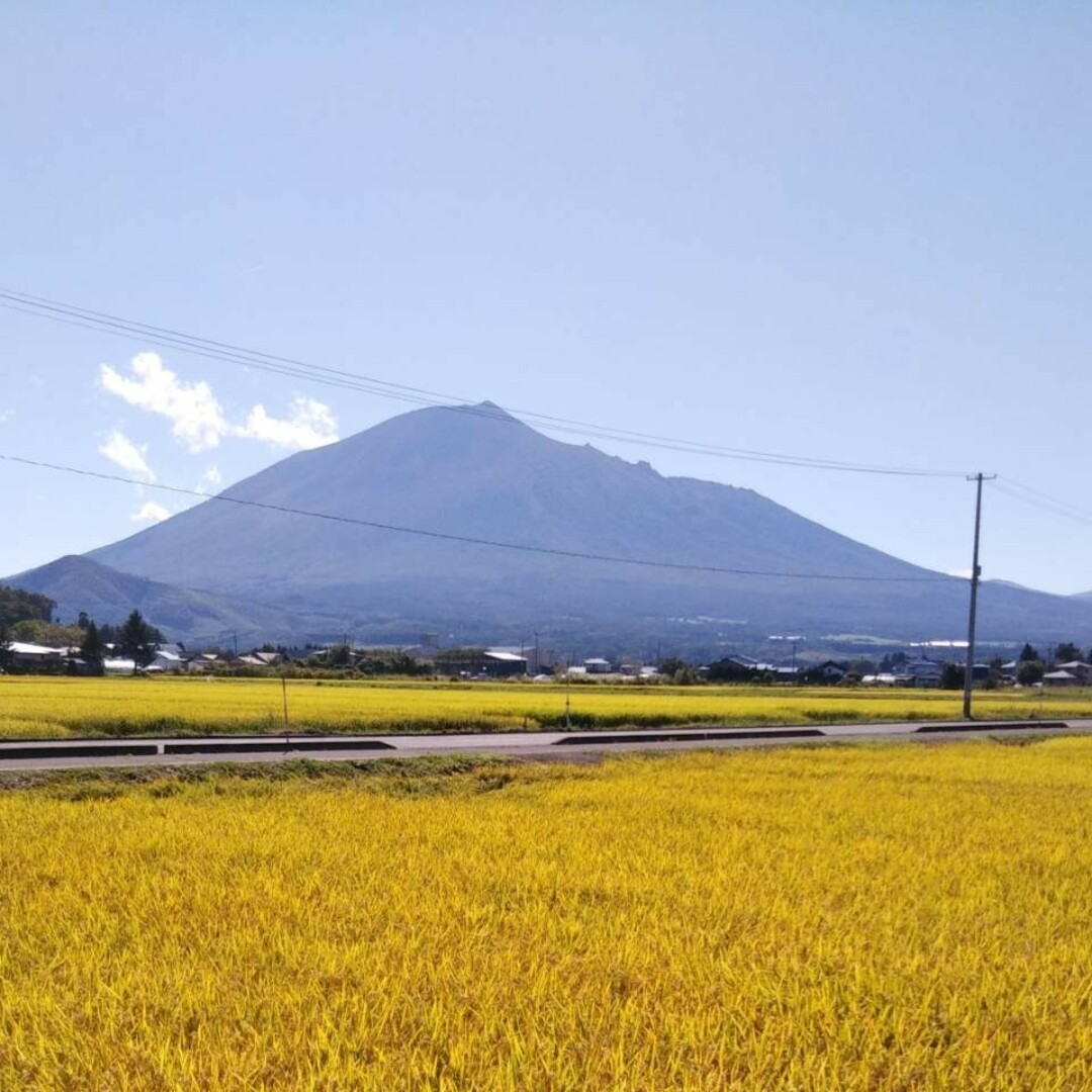 お米　５キロ　白米　いわてっこ 食品/飲料/酒の食品(米/穀物)の商品写真