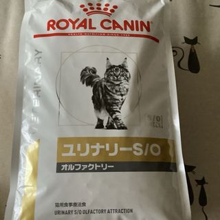 ロイヤルカナン(ROYAL CANIN)のROYAL CANIN｜ロイヤルカナン ロイヤルカナン 猫 ユリナリーS/Oオル(猫)