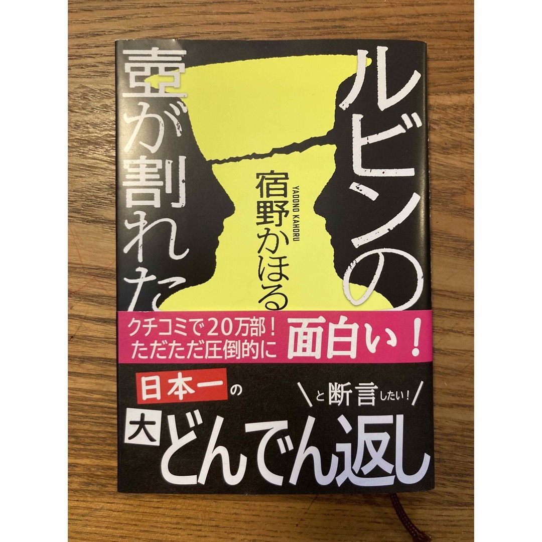 ルビンの壺が割れた エンタメ/ホビーの本(その他)の商品写真