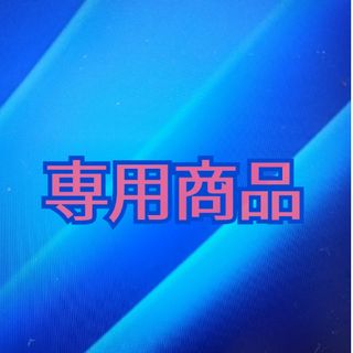 ★専用商品★70L 600枚 (300×2)ポリ袋 業務用 ゴミ袋 半透明 箱買(日用品/生活雑貨)