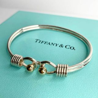 ティファニー(Tiffany & Co.)のティファニー 美品 コンビ バングル シルバーブック アイバングル 希少 bt2(ブレスレット/バングル)