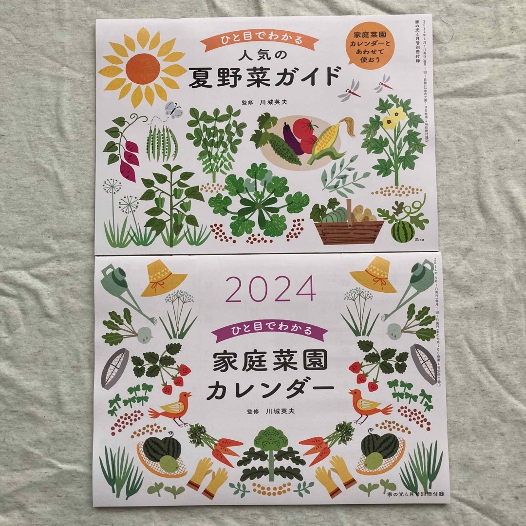 ★5点2222～円★　家の光 2024年2・3・4月号 未唯 土屋太鳳 戸田恵子 エンタメ/ホビーの本(住まい/暮らし/子育て)の商品写真