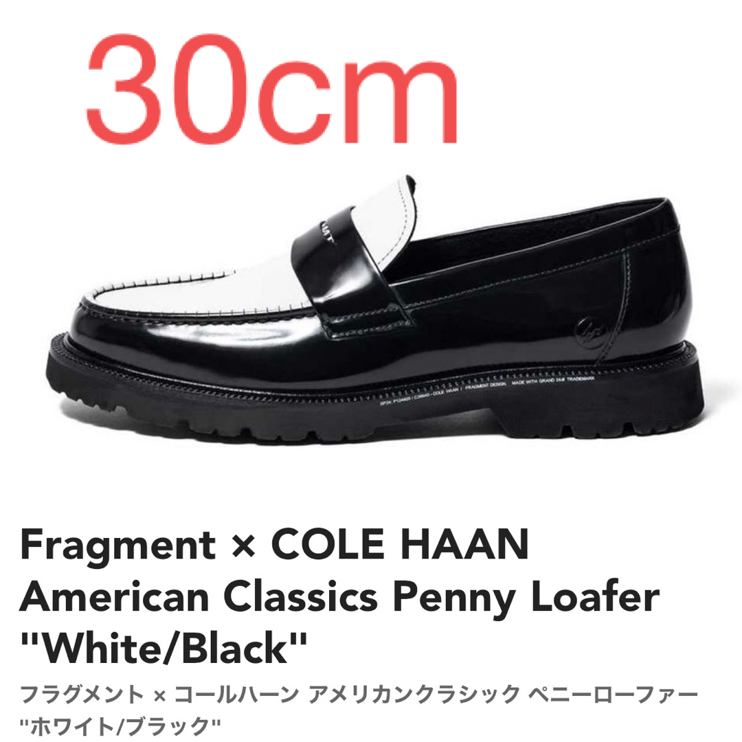 FRAGMENT(フラグメント)のFragment × COLE HAAN  メンズの靴/シューズ(ドレス/ビジネス)の商品写真