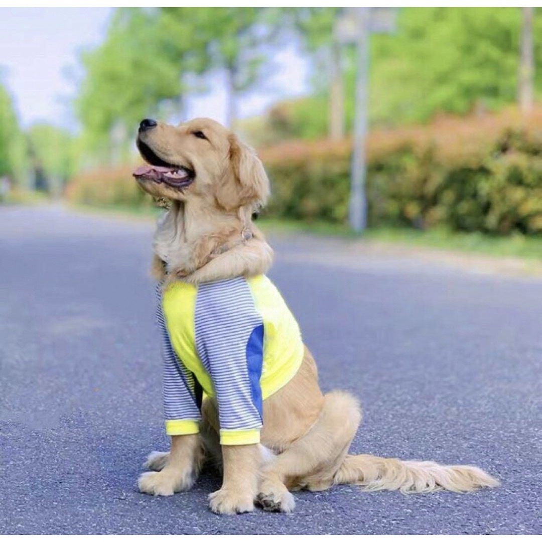 【ペット用】大型犬用 犬服 前足　膝カバー 怪我防止プロテクター 黄7XL その他のペット用品(犬)の商品写真