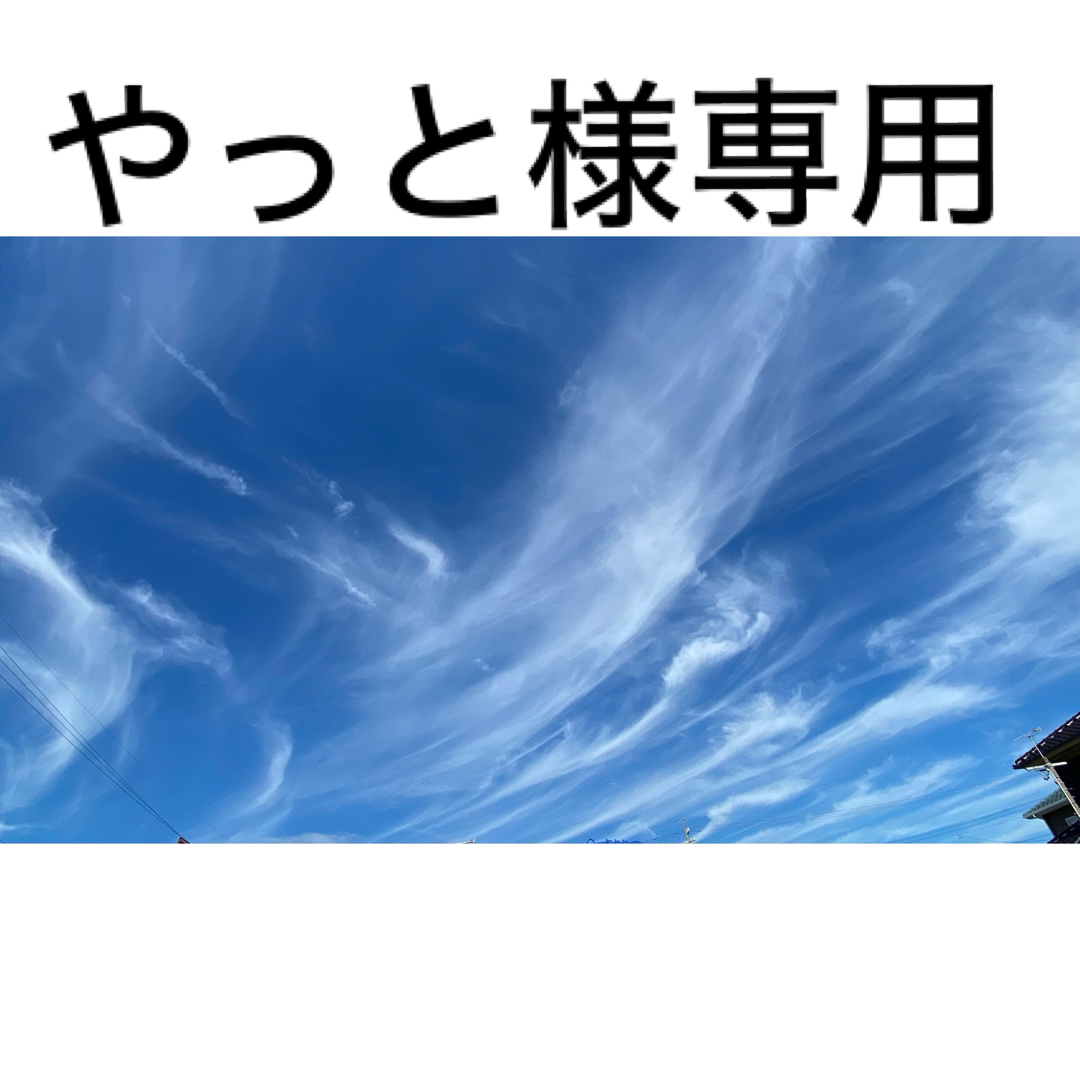 モンスター オーディオケーブル スマホ/家電/カメラのスマホ/家電/カメラ その他(その他)の商品写真