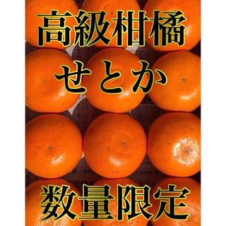 愛媛県産 みかん 高級柑橘 せとか コンパクトBOX発送 柑橘 ミカン 果物(フルーツ)