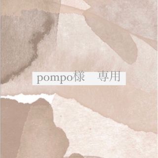 ◯pompo様　専用(ネックレス)