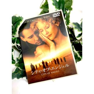 シティ・オブ・エンジェル　特別版 DVD(舞台/ミュージカル)