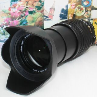 ❤️手振れ補正内蔵❤️シグマ 18-250mm DC OS HSM ニコン用