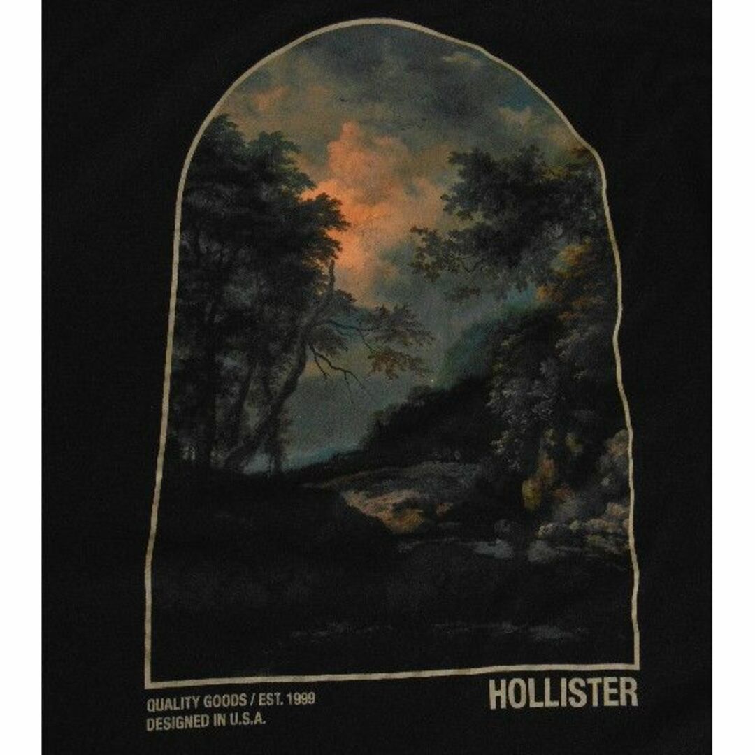 Hollister(ホリスター)のホリスター*US:XXL/ブラック/バックプリント長袖Tシャツ メンズのトップス(Tシャツ/カットソー(七分/長袖))の商品写真