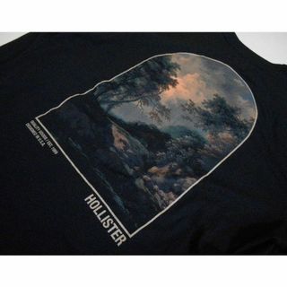 ホリスター*US:XXL/ブラック/バックプリント長袖Tシャツ