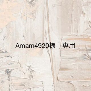 Amam4920様　専用(3/13発送)(ピアス)