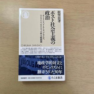 ポスト社会主義の政治(人文/社会)