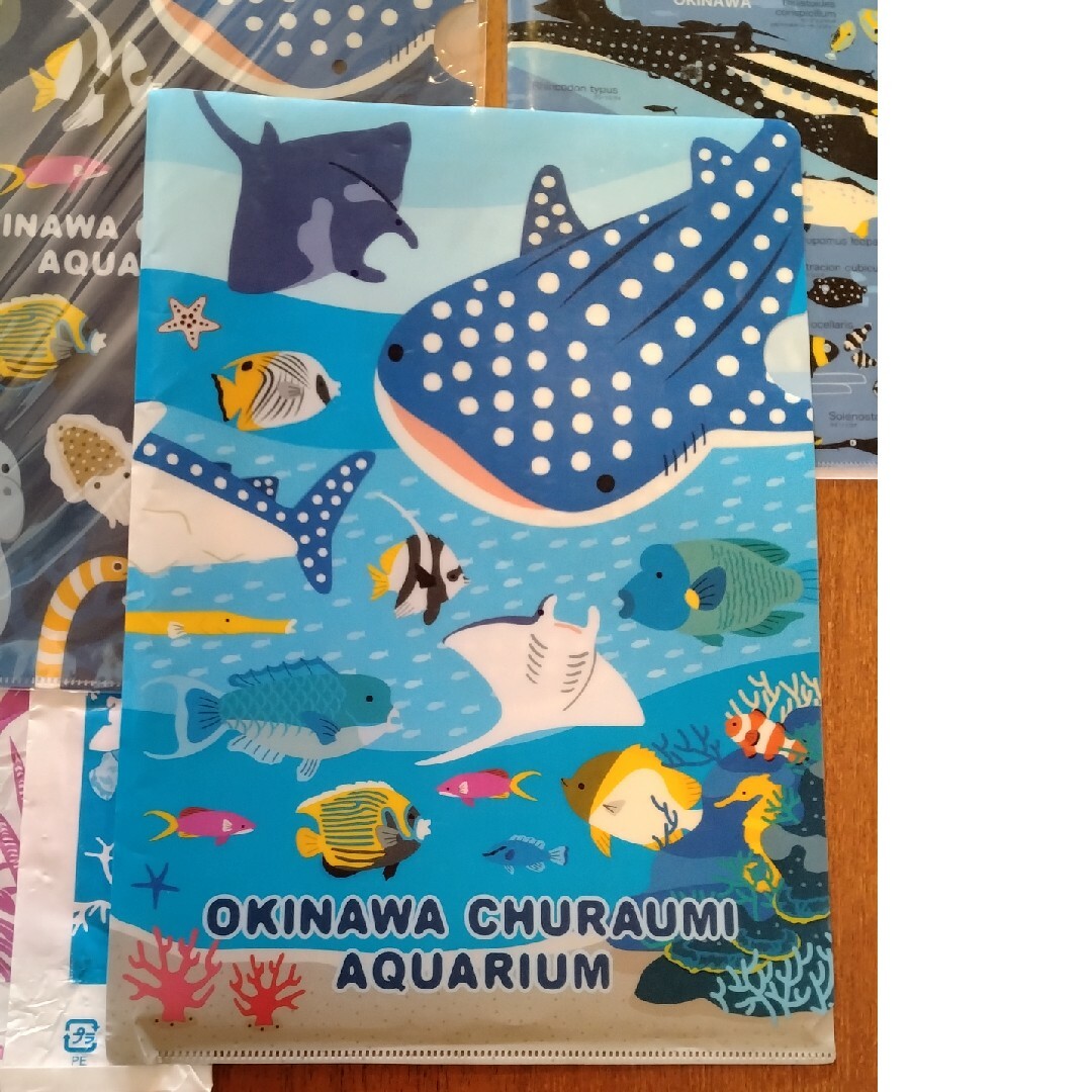 美ら海水族館　クリアファイル3枚 エンタメ/ホビーのアニメグッズ(クリアファイル)の商品写真