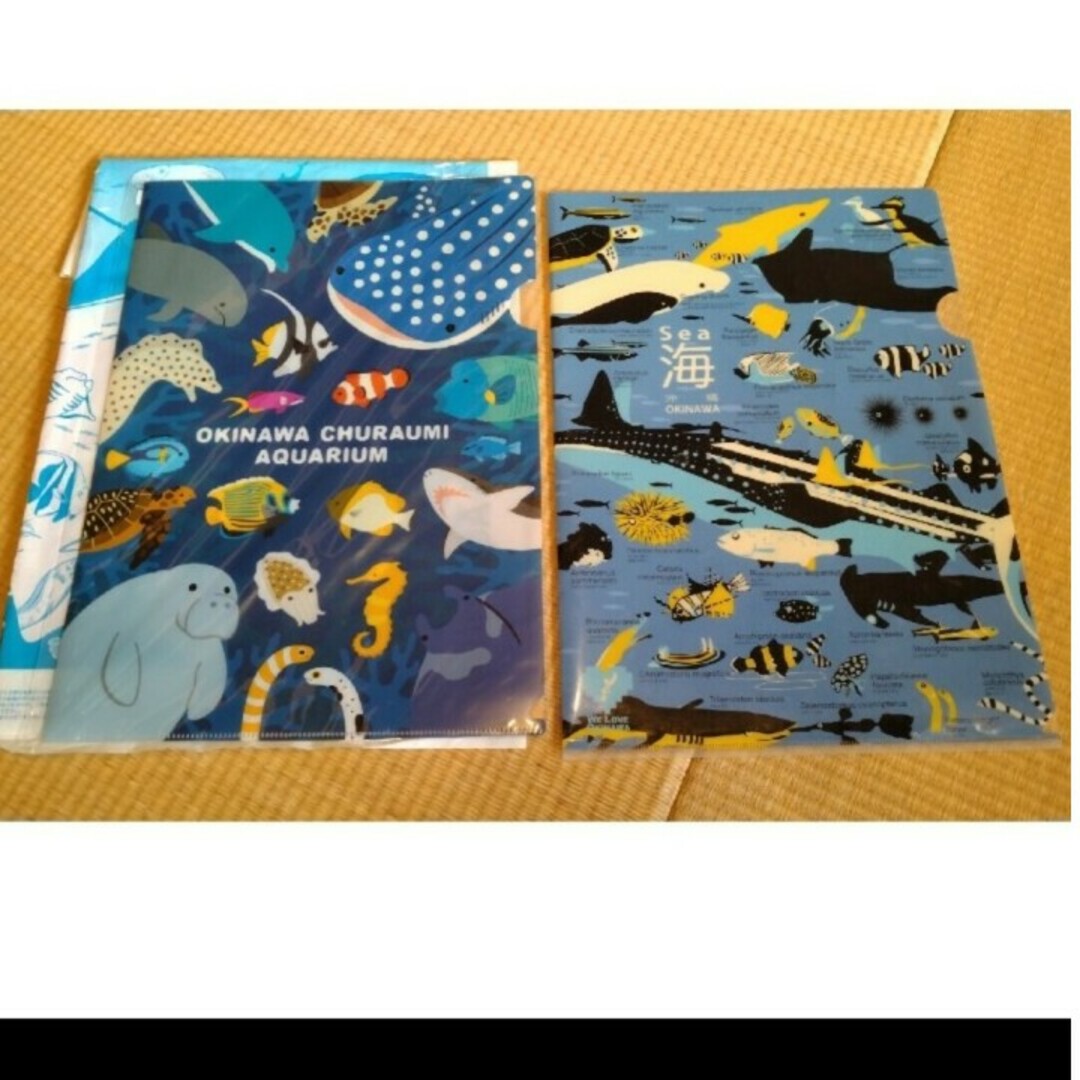 美ら海水族館　クリアファイル3枚 エンタメ/ホビーのアニメグッズ(クリアファイル)の商品写真
