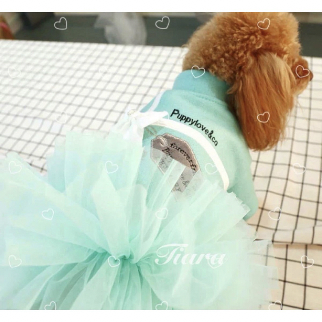 ティファニーブルーカラー可愛い　犬服　猫服　チュチュスカートワンピース ハンドメイドのペット(ペット服/アクセサリー)の商品写真