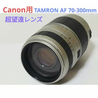 タムロン(TAMRON)の5月2日限定価格♪【Canon用】タムロン AF 70-300mm(レンズ(ズーム))