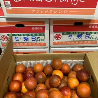 56.数量限定ブラッドオレンジ　モロ　秀品　箱込み5kg(フルーツ)