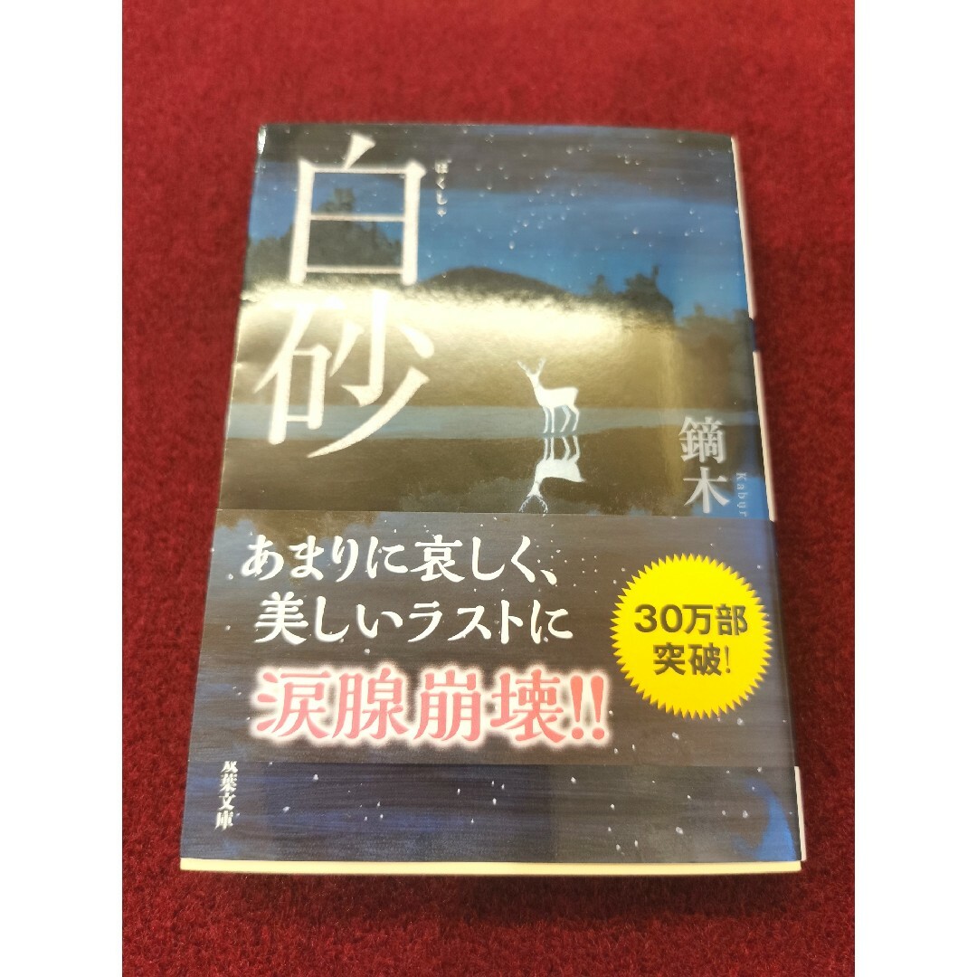 白砂 エンタメ/ホビーの本(その他)の商品写真