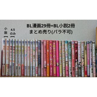 BL漫画 BLコミック BL小説 31冊 まとめ売り(ボーイズラブ(BL))