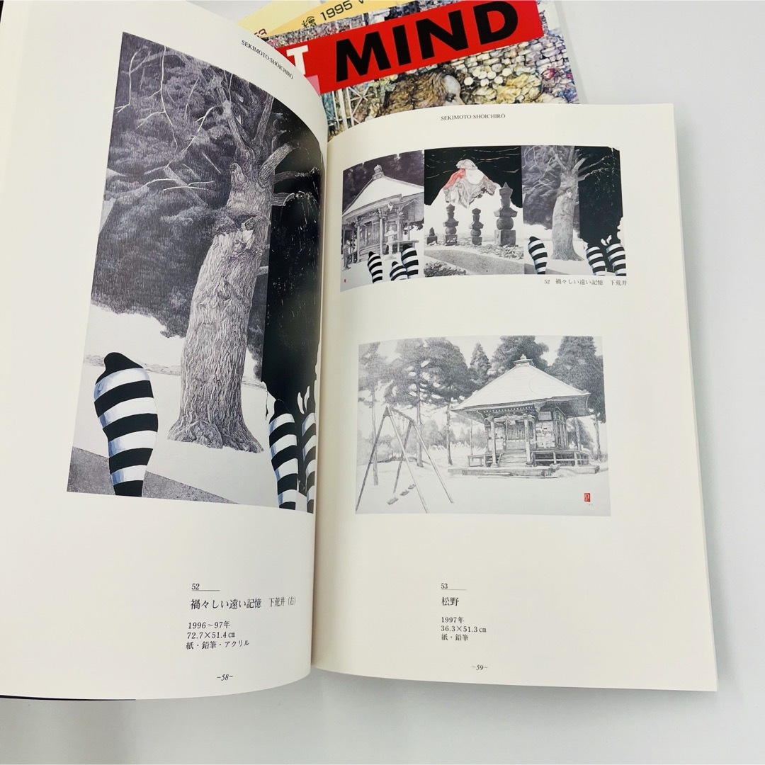 画集1995 ART MIND2007 2004関本庄一郎展画集　セット エンタメ/ホビーの本(アート/エンタメ)の商品写真