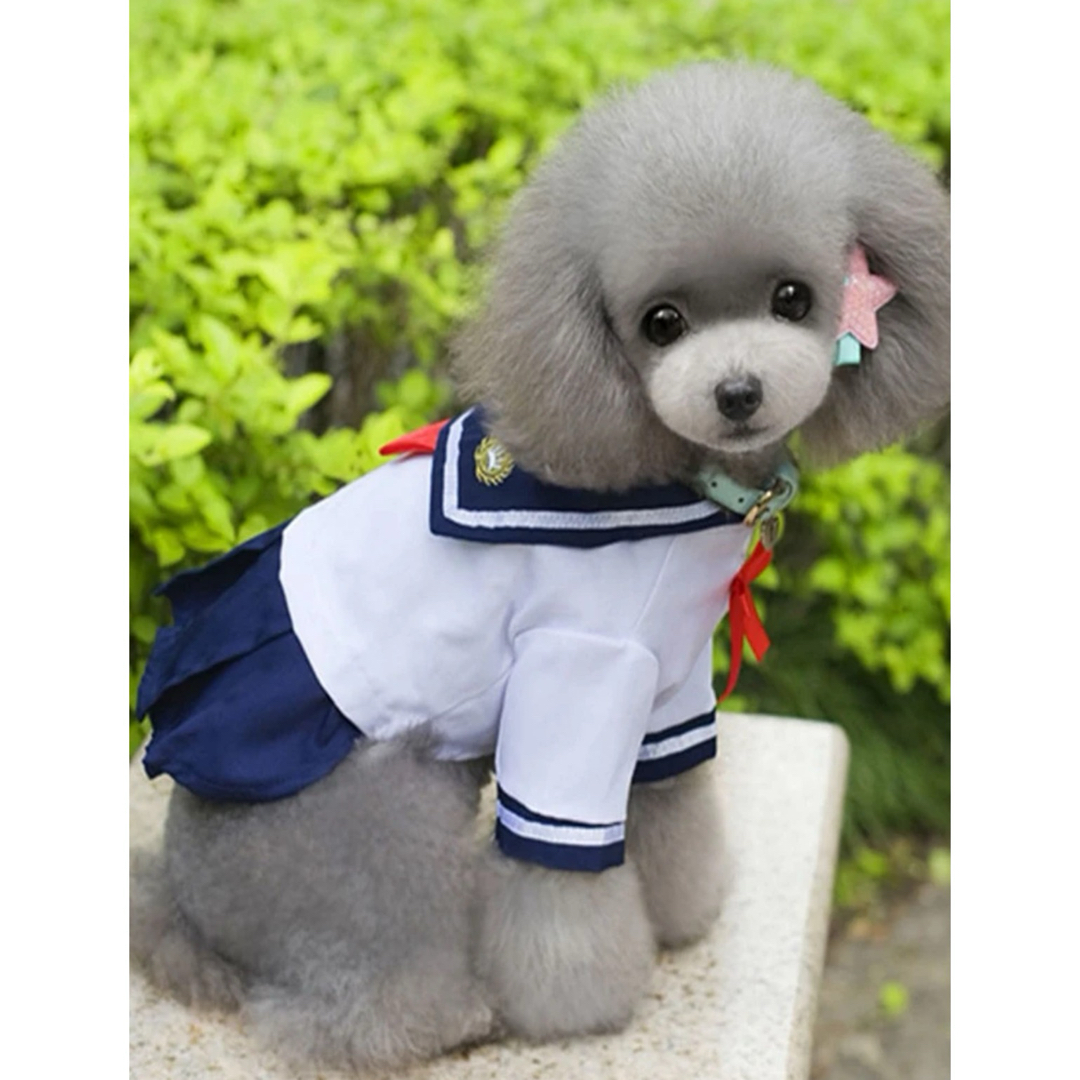 セーラー服　犬服　猫服　ペット用品のご紹介です☺️  ハンドメイドのペット(ペット服/アクセサリー)の商品写真