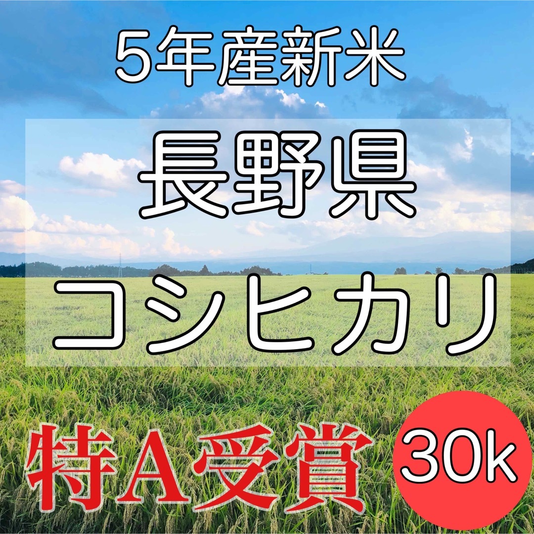 【令和5年産】長野県コシヒカリ30キロ白米 食品/飲料/酒の食品(米/穀物)の商品写真