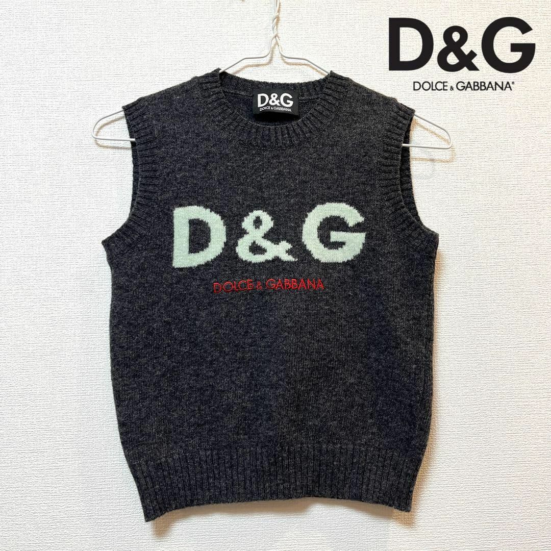 DOLCE&GABBANA(ドルチェアンドガッバーナ)の【美品】D&G(ドルチェ＆ガッバーナ) ブランドロゴ クルーネックニットベスト レディースのトップス(ベスト/ジレ)の商品写真