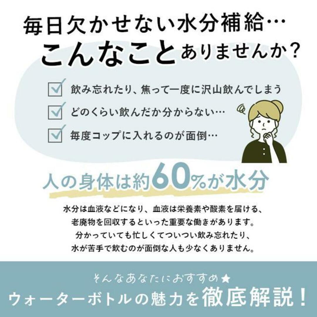 SANTECO Track&Go ウォーターボトル インテリア/住まい/日用品のキッチン/食器(その他)の商品写真