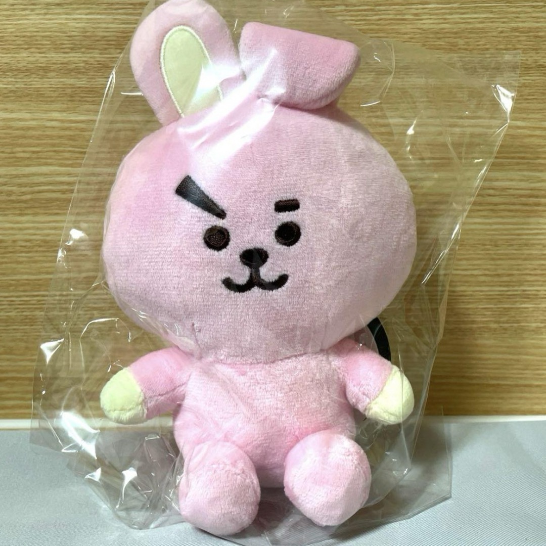 BT21(ビーティーイシビル)のBTS  BT21  ぬいぐるみMサイズ　COOKY エンタメ/ホビーのタレントグッズ(アイドルグッズ)の商品写真