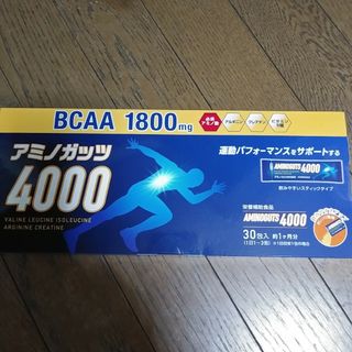 ☆期間限定セール中☆日本フーズケミカル ベジタブル&フルーツ風味560g