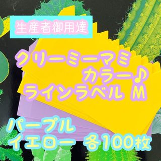 ラインラベル 中 黄・紫 各100枚 園芸カラーラベル 多肉植物 エケベリア (プランター)